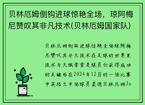 贝林厄姆倒钩进球惊艳全场，琼阿梅尼赞叹其非凡技术(贝林厄姆国家队)